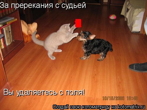 Котоматрица: За пререкания с судьей Вы удаляетесь с поля!