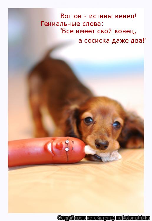 Вот он - истины венец! Гениальные слова: "Все имеет свой конец, а сосиска даже два!"... Котоматрица: Вот он - истины венец! Гениальные слова: "Все имеет свой конец, а сосиска даже два!"