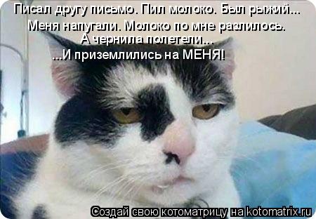 Котоматрица: Писал другу письмо. Пил молоко. Был рыжий... Меня напугали. Молоко по мне разлилось. А чернила полетели... ...И приземлились на МЕНЯ!