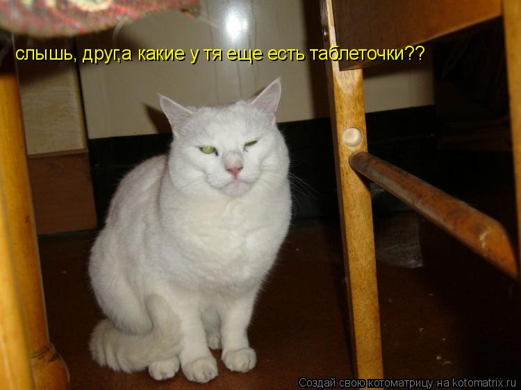 слышь, друг,а какие у тя еще есть таблеточки??... Котоматрица: слышь, друг,а какие у тя еще есть таблеточки??