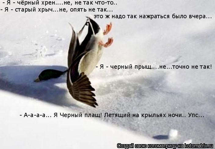 - Я - черный прыщ....не...точно не так! - А-а-а-а... Я Черный плащ! Летящий на крыльях ночи.. Упс... ... Котоматрица: - Я - черный прыщ....не...точно не так! - А-а-а-а... Я Черный плащ! Летящий на крыльях ночи.. Упс... - Я - чёрный хрен....не, не так что-то.. - Я - ст