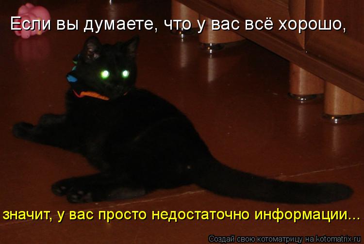 Котоматрица: Если вы думаете, что у вас всё хорошо, значит, у вас просто недостаточно информации...