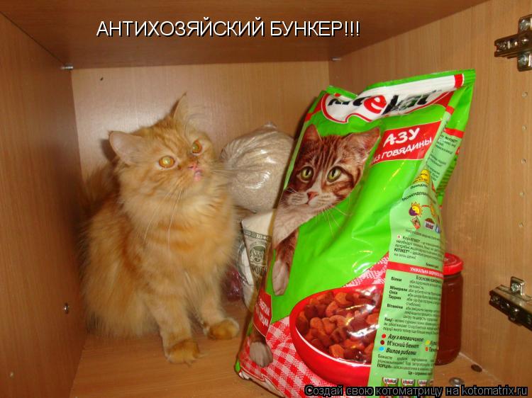 АНТИХОЗЯЙСКИЙ БУНКЕР!!!... Котоматрица: АНТИХОЗЯЙСКИЙ БУНКЕР!!!