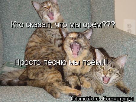 Кто сказал, что мы орём??? Просто песню мы поём!!!... Котоматрица: Кто сказал, что мы орём??? Просто песню мы поём!!!