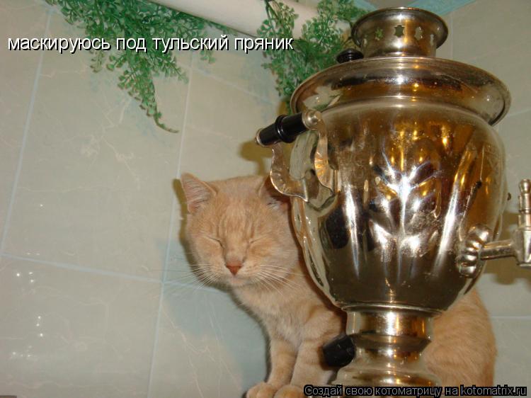 Котоматрица: маскируюсь под тульский пряник