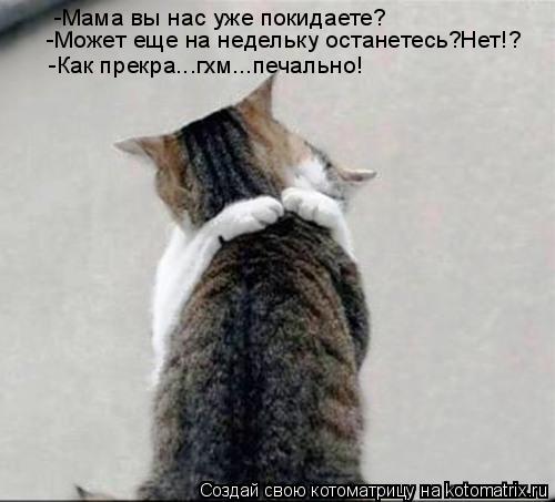 Котоматрица: -Мама вы нас уже покидаете? -Может еще на недельку останетесь? Нет!? -Как прекра...гхм...печально!