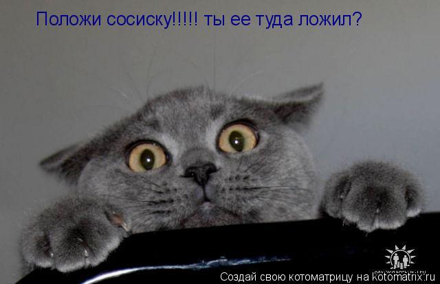 Котоматрица: Положи сосиску!!!!! ты ее туда ложил?