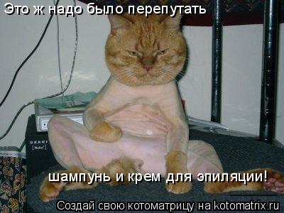 Котоматрица: Это ж надо было перепутать шампунь и крем для эпиляции!