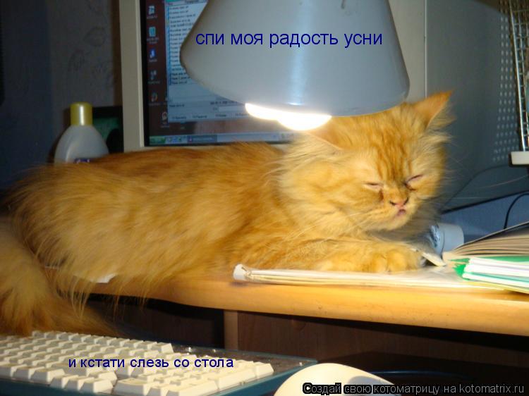 спи моя радость усни и кстати слезь со стола... Котоматрица: спи моя радость усни и кстати слезь со стола