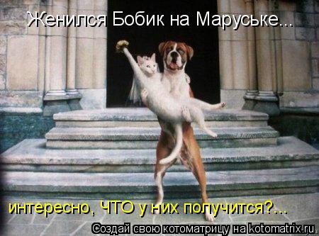 интересно, ЧТО у них получится?... Женился Бобик на Маруське...... Котоматрица: интересно, ЧТО у них получится?... Женился Бобик на Маруське...