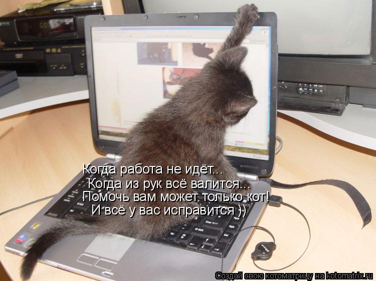 Когда работа не идёт... Когда из рук всё валится... Помочь вам может только кот! И всё у вас исправит... Котоматрица: Когда работа не идёт... Когда из рук всё валится... Помочь вам может только кот! И всё у вас исправится ))