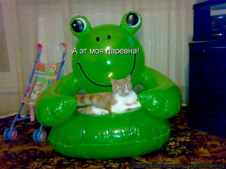 Котоматрица: А эт моя царевна!