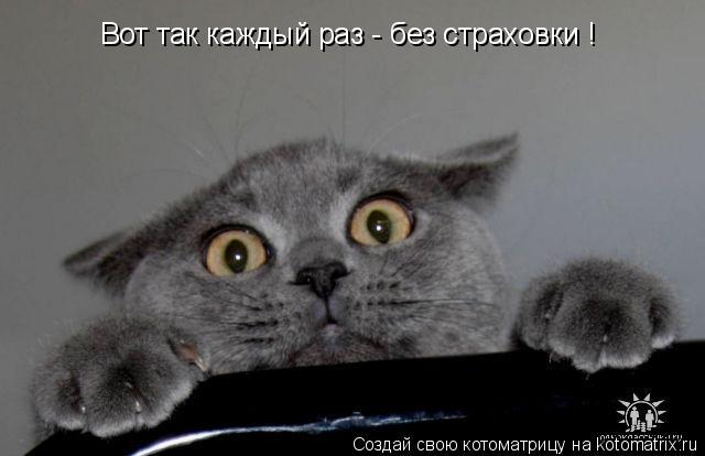 Вот так каждый раз - без страховки !... Котоматрица: Вот так каждый раз - без страховки !