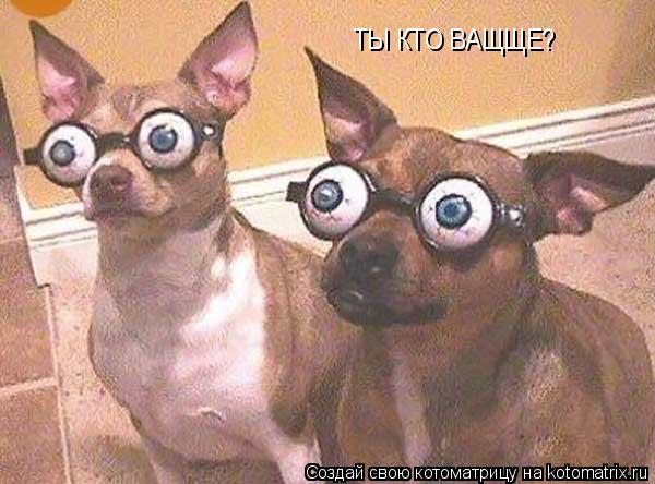 ТЫ КТО ВАЩЩЕ?... Котоматрица: ТЫ КТО ВАЩЩЕ?