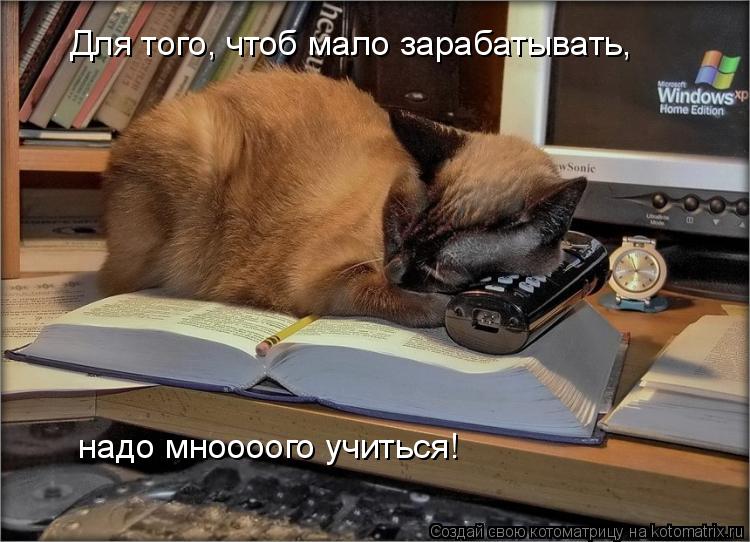 Котоматрица: Для того, чтоб мало зарабатывать, надо мноооого учиться!