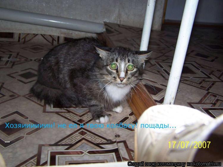 _... Котоматрица: _