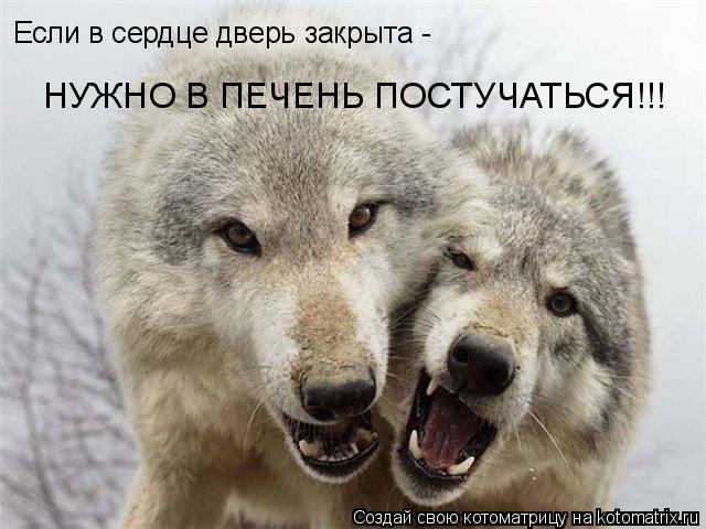 Если в сердце дверь закрыта - НУЖНО В ПЕЧЕНЬ ПОСТУЧАТЬСЯ!!!... Котоматрица: Если в сердце дверь закрыта - НУЖНО В ПЕЧЕНЬ ПОСТУЧАТЬСЯ!!!