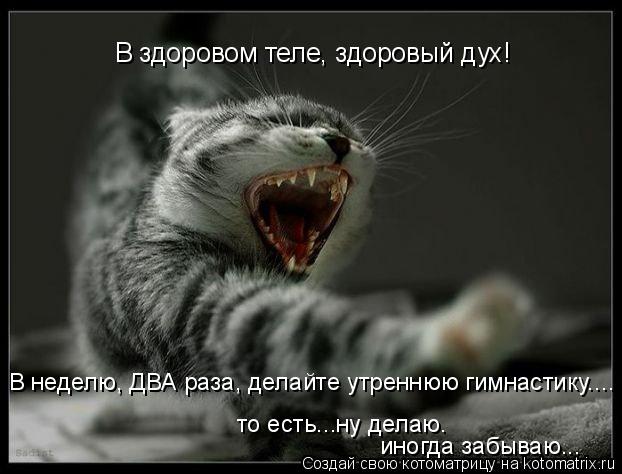Котоматрица: В здоровом теле, здоровый дух! В неделю, ДВА раза, делайте утреннюю гимнастику.... то есть...ну делаю. иногда забываю...