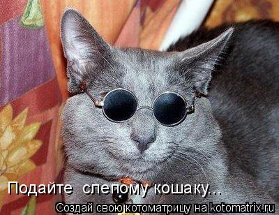 Котоматрица: Подайте  слепому кошаку...