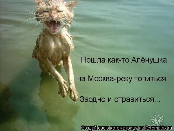 Котоматрица: Пошла как-то Алёнушка на Москва-реку топиться. Заодно и отравиться...