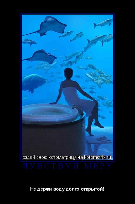 Котоматрица: Ч У В С Т В У Й   М Е Р У 