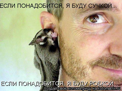 Котоматрица: ЕСЛИ ПОНАДОБИТСЯ, Я БУДУ СУЧКОЙ... ЕСЛИ ПОНАДОБИТСЯ, Я БУДУ РОБКОЙ...