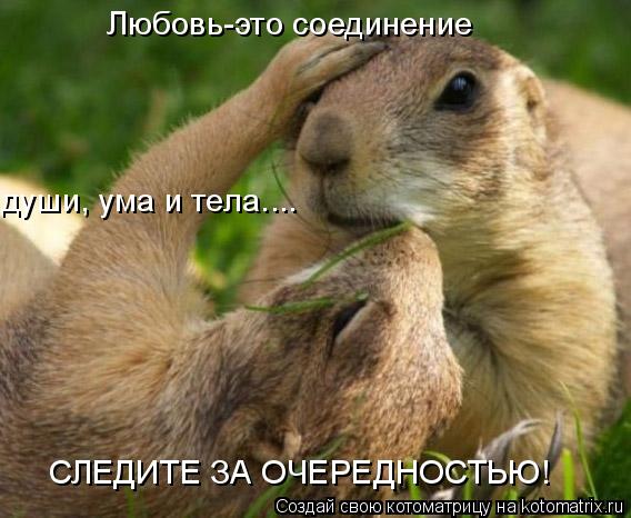 Котоматрица: Любовь-это соединение души, ума и тела.... СЛЕДИТЕ ЗА ОЧЕРЕДНОСТЬЮ!