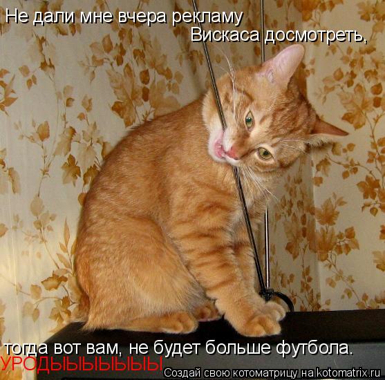 Не дали мне вчера рекламу Вискаса досмотреть, тогда вот вам, не будет больше футбола. УРОДЫЫЫЫЫЫЫ... Котоматрица: Не дали мне вчера рекламу Вискаса досмотреть, тогда вот вам, не будет больше футбола. УРОДЫЫЫЫЫЫЫ