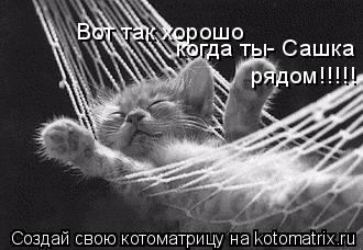Вот так хорошо когда ты- Сашка рядом!!!!!... Котоматрица: Вот так хорошо когда ты- Сашка рядом!!!!!