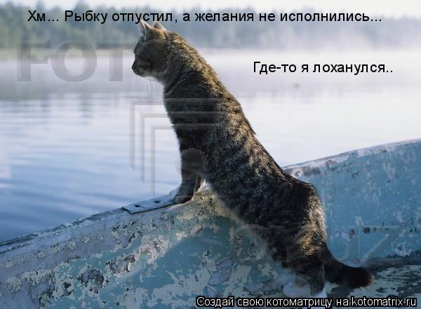 Котоматрица: Где-то я лоханулся..  Хм... Рыбку отпустил, а желания не исполнились...