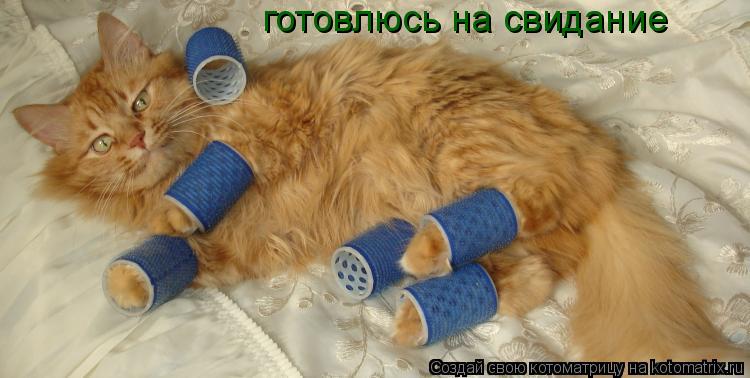 Котоматрица: готовлюсь на свидание
