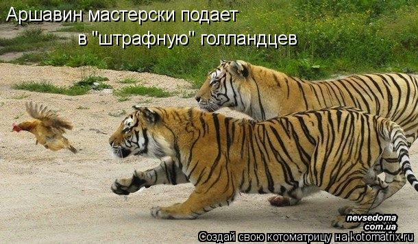 Котоматрица: Аршавин мастерски подает  в "штрафную" голландцев