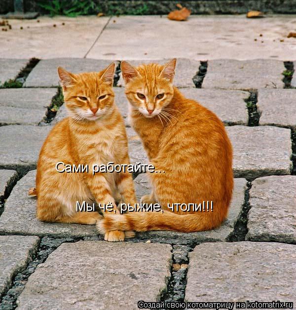 Котоматрица: Сами работайте... Мы чё, рыжие, чтоли!!!