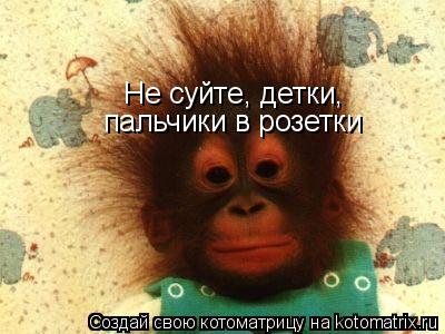 Котоматрица: Не суйте, детки, пальчики в розетки