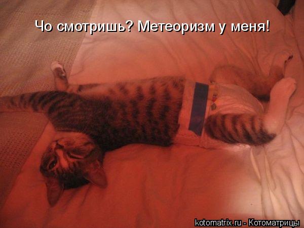 Котоматрица: Чо смотришь? Метеоризм у меня!