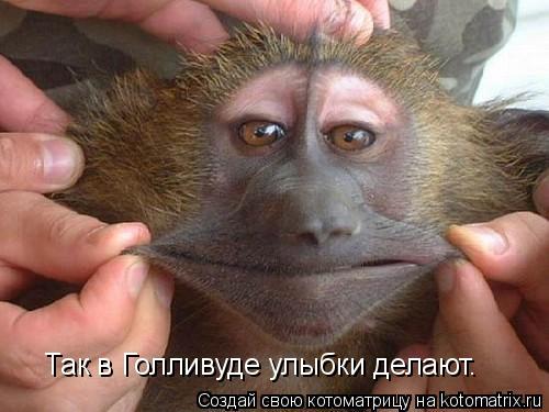 Котоматрица: Так в Голливуде улыбки делают.