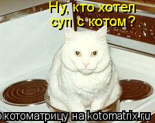 Котоматрица: Ну, кто хотел суп с котом?