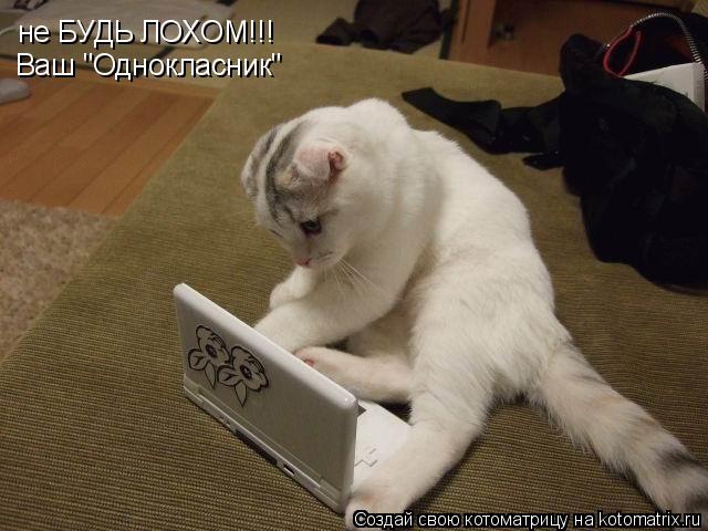 не БУДЬ ЛОХОМ!!! Ваш "Однокласник"... Котоматрица: не БУДЬ ЛОХОМ!!! Ваш "Однокласник"