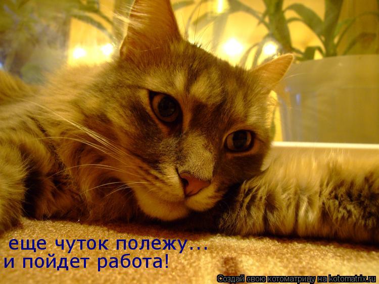 Котоматрица: и пойдет работа! еще чуток полежу...