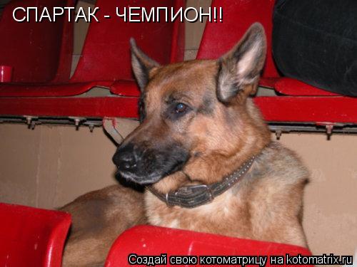 СПАРТАК - ЧЕМПИОН!!... Котоматрица: СПАРТАК - ЧЕМПИОН!!