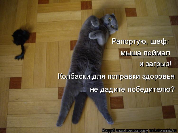 Рапортую, шеф: и загрыз! мыша поймал Колбаски для поправки здоровья не дадите победителю?... Котоматрица: Рапортую, шеф: и загрыз! мыша поймал Колбаски для поправки здоровья не дадите победителю?