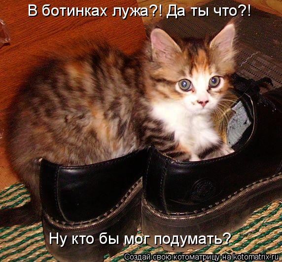 Ну кто бы мог подумать? В ботинках лужа?! Да ты что?!... Котоматрица: Ну кто бы мог подумать? В ботинках лужа?! Да ты что?!