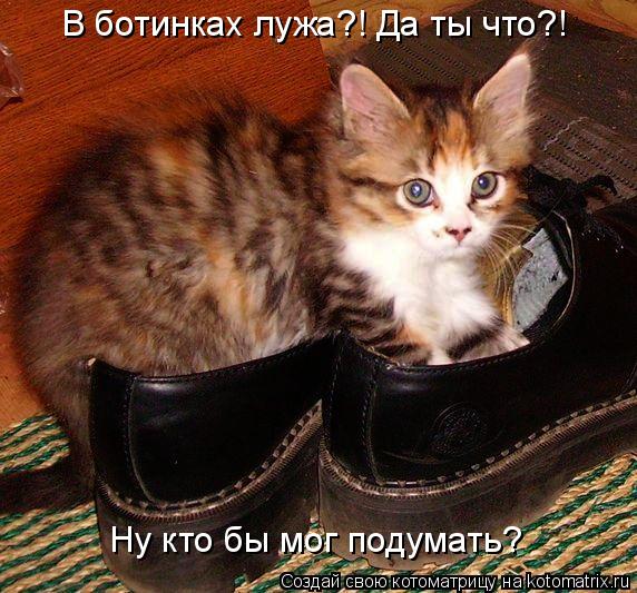 Котоматрица: Ну кто бы мог подумать? В ботинках лужа?! Да ты что?!