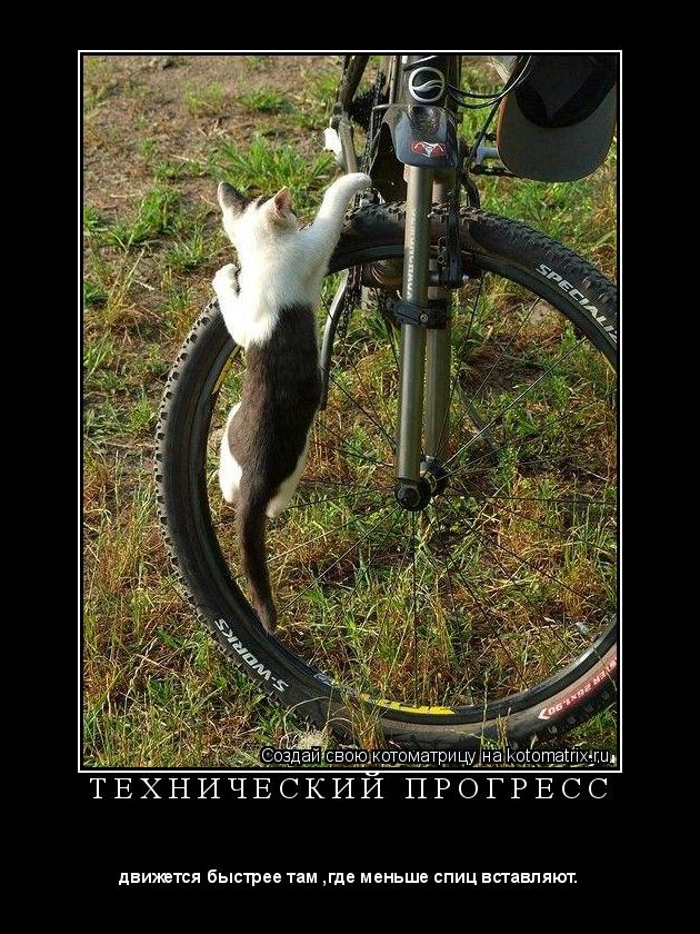 Т Е Х Н И Ч Е С К И Й П Р О Г Р Е С С ... Котоматрица: Т Е Х Н И Ч Е С К И Й П Р О Г Р Е С С