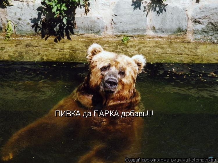ПИВКА да ПАРКА добавь!!!... Котоматрица: ПИВКА да ПАРКА добавь!!!