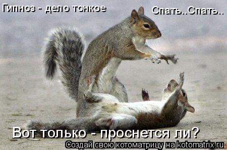Котоматрица: Гипноз - дело тонкое Спать..Спать.. Вот только - проснется ли?