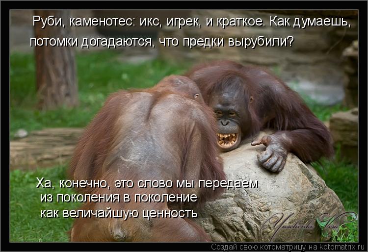 Котоматрица: потомки догадаются, что предки вырубили? Руби, каменотес: икс, игрек, и краткое. Как думаешь,  Ха, конечно, это слово мы передаем  из поколения 