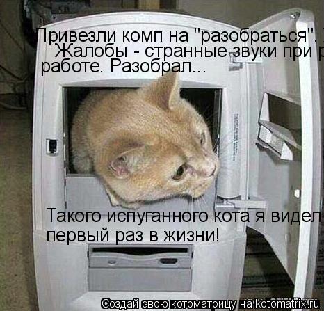 Котоматрица: Привезли комп на "разобраться". Жалобы - странные звуки при работе. Разобрал...   Жалобы - странные звуки при работе. Разобрал...   работе. Разобр
