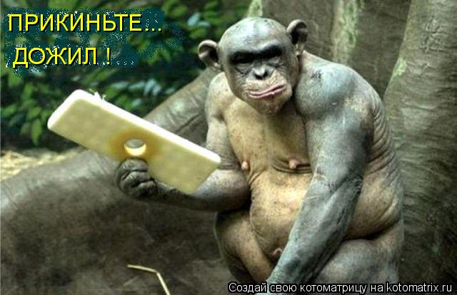 ПРИКИНЬТЕ... ДОЖИЛ !... Котоматрица: ПРИКИНЬТЕ... ДОЖИЛ !