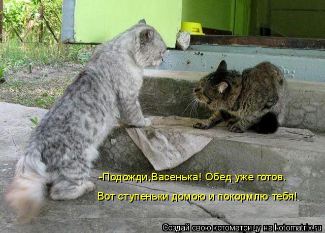 -Подожди,Васенька! Обед уже готов. Вот ступеньки домою и покормлю тебя!... Котоматрица: -Подожди,Васенька! Обед уже готов. Вот ступеньки домою и покормлю тебя!